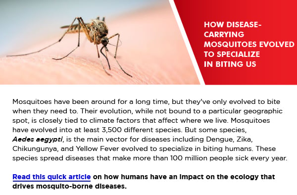 How disease-carrying mosquitoes evolved to specialize in biting us